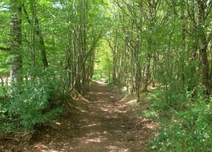 Дом отдыха Charmante Maison Perigord Avec Piscine Privee Et Wifi - Fr-1-616-511 Saint-Sulpice-d'Excideuil